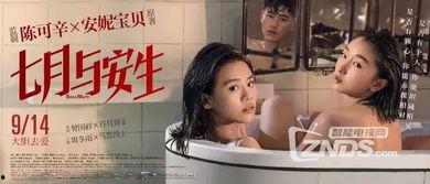 国产亚洲女同在线观看,细腻情感,探索女性共鸣